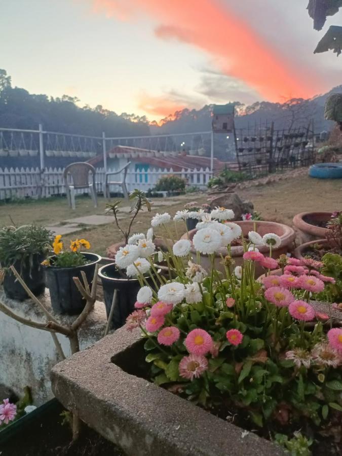 Homestay Mohraj Bhowali