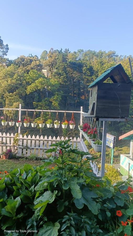 Mohraj Homestay Bhowali